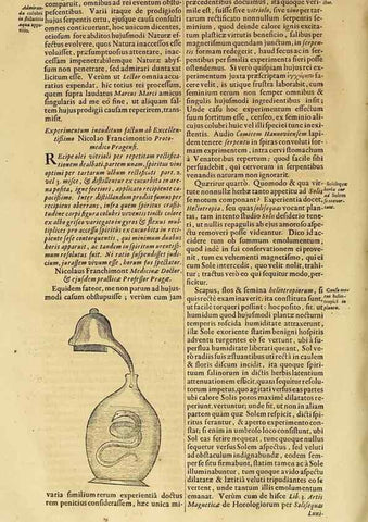 Reproducción/Reproduction 15666641581: Mundus subterraneus, in XII libros digestus :. Amstelodami :apud Joannem Janssonium à Waesberge & filios,1678.