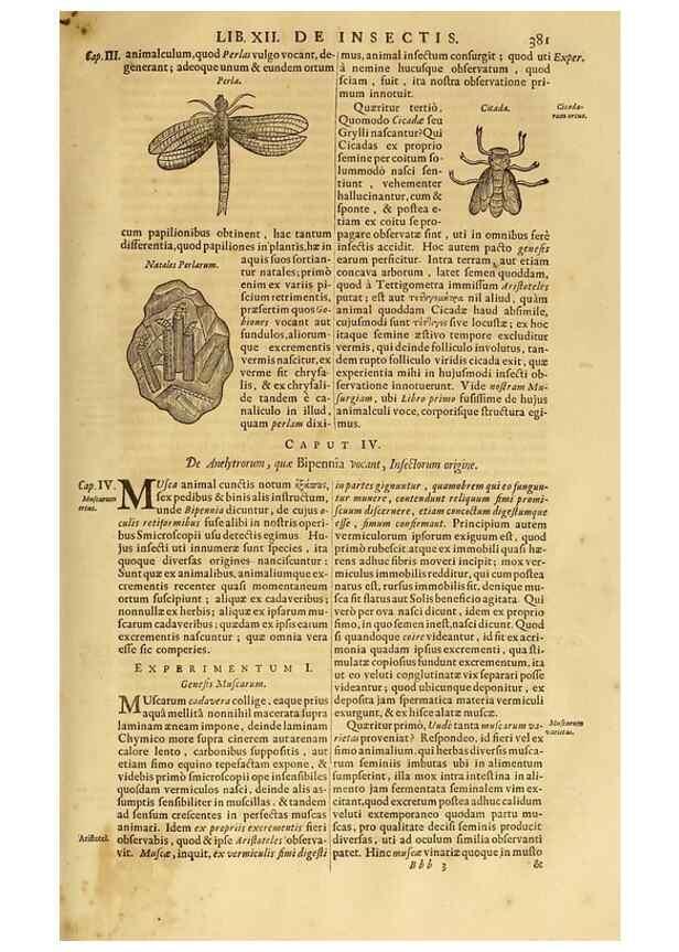 Reproducción/Reproduction 15670095842: Mundus subterraneus, in XII libros digestus :. Amstelodami :apud Joannem Janssonium à Waesberge & filios,1678.