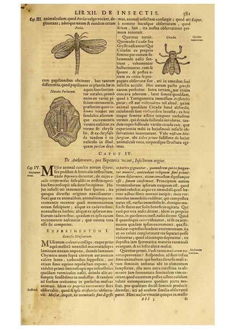 Reproducción/Reproduction 15670095842: Mundus subterraneus, in XII libros digestus :. Amstelodami :apud Joannem Janssonium à Waesberge & filios,1678.