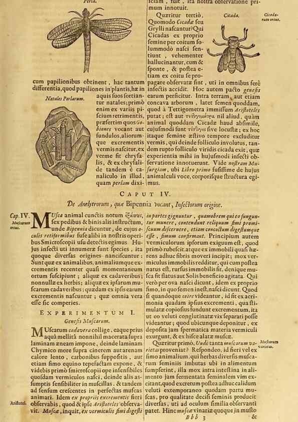 Reproducción/Reproduction 15670095842: Mundus subterraneus, in XII libros digestus :. Amstelodami :apud Joannem Janssonium à Waesberge & filios,1678.