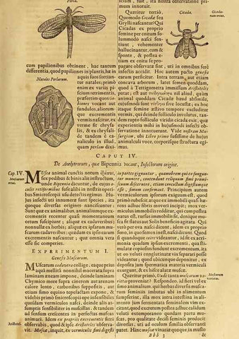 Reproducción/Reproduction 15670095842: Mundus subterraneus, in XII libros digestus :. Amstelodami :apud Joannem Janssonium à Waesberge & filios,1678.