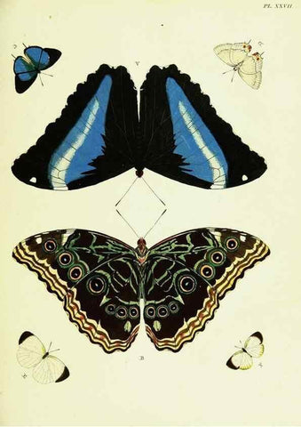 Reproducción/Reproduction 22420657010: De uitlandsche kapellen voorkomende in de drie waereld-deelen, Asia, Africa en America,. Amsteldam,Chez S. J. Baalde;1779-1782.