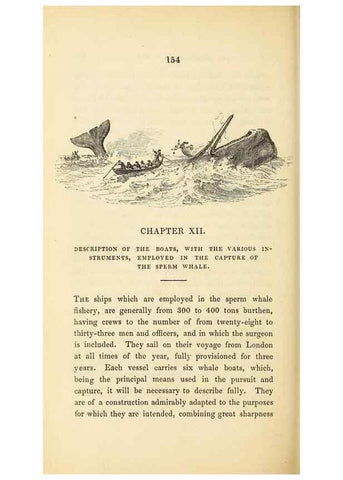 Reproducción/Reproduction 22801971434: The natural history of the sperm whale.. London,J. Van Voorst,1839.