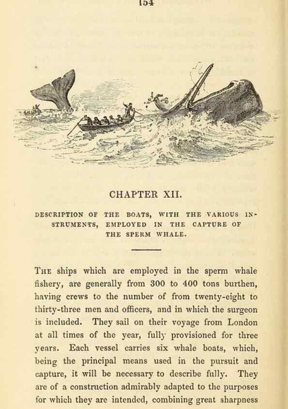 Reproducción/Reproduction 22801971434: The natural history of the sperm whale.. London,J. Van Voorst,1839.