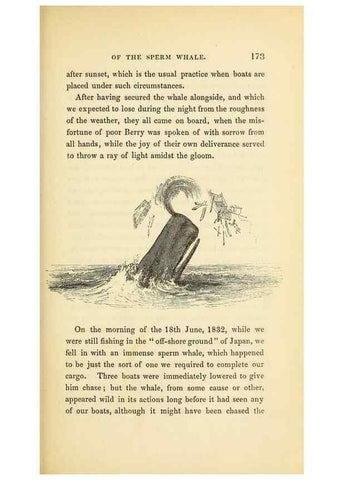 Reproducción/Reproduction 23430324945: The natural history of the sperm whale.. London,J. Van Voorst,1839.