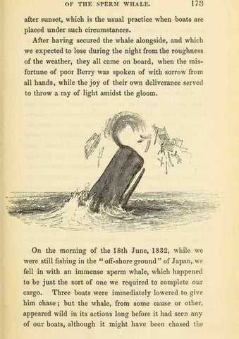 Reproducción/Reproduction 23430324945: The natural history of the sperm whale.. London,J. Van Voorst,1839.