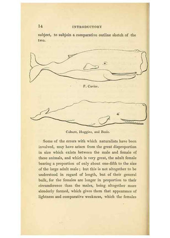 Reproducción/Reproduction 23347778131: The natural history of the sperm whale.. London,J. Van Voorst,1839.