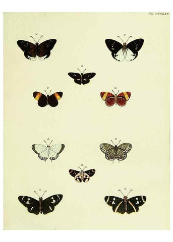 Reproducción/Reproduction 22422709360: De uitlandsche kapellen voorkomende in de drie waereld-deelen, Asia, Africa en America,. Amsteldam,Chez S. J. Baalde;1779-1782.