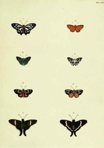 Reproducción/Reproduction 22621864601: De uitlandsche kapellen voorkomende in de drie waereld-deelen, Asia, Africa en America,. Amsteldam,Chez S. J. Baalde;1779-1782.