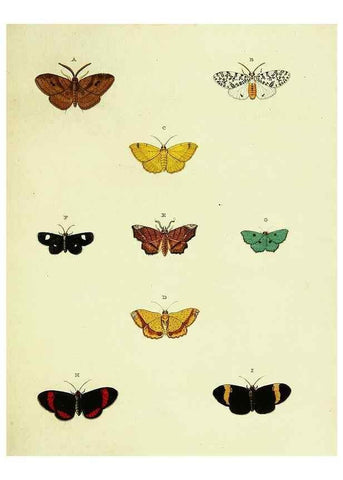 Reproducción/Reproduction 22610658165: De uitlandsche kapellen voorkomende in de drie waereld-deelen, Asia, Africa en America,. Amsteldam,Chez S. J. Baalde;1779-1782.