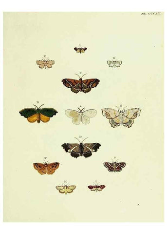 Reproducción/Reproduction 22422691110: De uitlandsche kapellen voorkomende in de drie waereld-deelen, Asia, Africa en America,. Amsteldam,Chez S. J. Baalde;1779-1782.