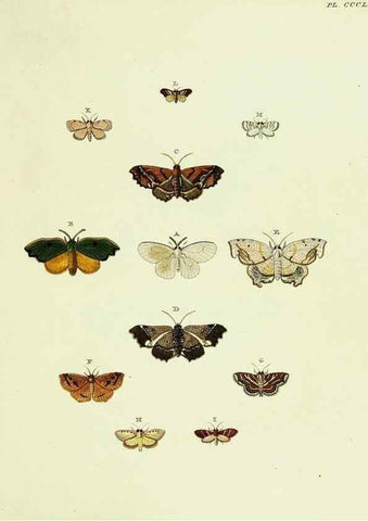 Reproducción/Reproduction 22422691110: De uitlandsche kapellen voorkomende in de drie waereld-deelen, Asia, Africa en America,. Amsteldam,Chez S. J. Baalde;1779-1782.