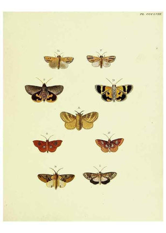 Reproducción/Reproduction 22621832781: De uitlandsche kapellen voorkomende in de drie waereld-deelen, Asia, Africa en America,. Amsteldam,Chez S. J. Baalde;1779-1782.
