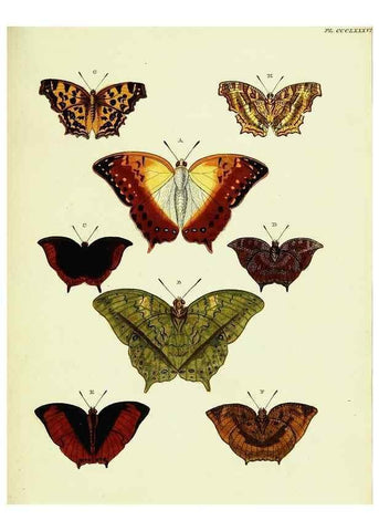 Reproducción/Reproduction 22584751626: De uitlandsche kapellen voorkomende in de drie waereld-deelen, Asia, Africa en America,. Amsteldam,Chez S. J. Baalde;1779-1782.