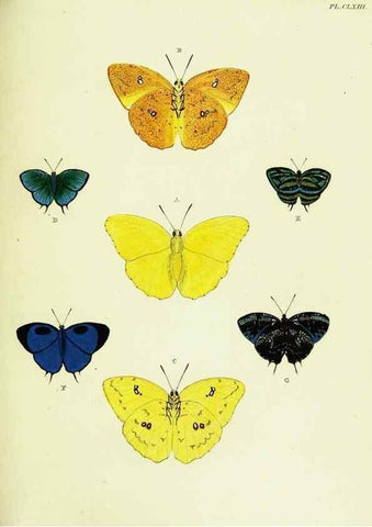 Reproducción/Reproduction 22620376221: De uitlandsche kapellen voorkomende in de drie waereld-deelen, Asia, Africa en America,. Amsteldam,Chez S. J. Baalde;1779-1782.