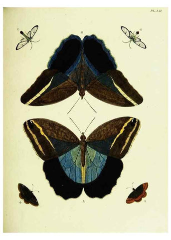 Reproducción/Reproduction 22595163542: De uitlandsche kapellen voorkomende in de drie waereld-deelen, Asia, Africa en America,. Amsteldam,Chez S. J. Baalde;1779-1782.