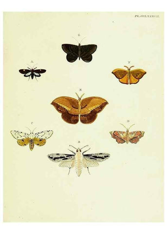 Reproducción/Reproduction 22610292495: De uitlandsche kapellen voorkomende in de drie waereld-deelen, Asia, Africa en America,. Amsteldam,Chez S. J. Baalde;1779-1782.