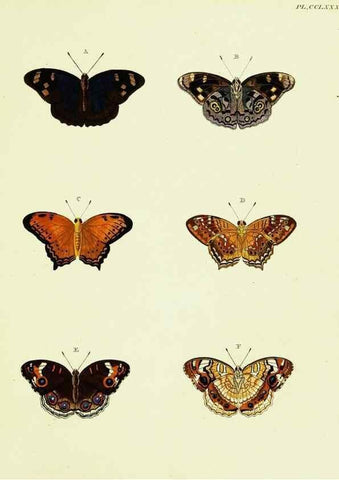 Reproducción/Reproduction 22584265666: De uitlandsche kapellen voorkomende in de drie waereld-deelen, Asia, Africa en America,. Amsteldam,Chez S. J. Baalde;1779-1782.