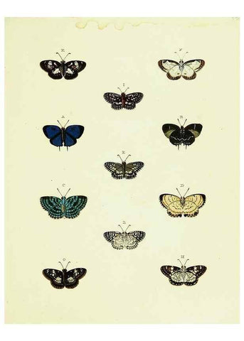Reproducción/Reproduction 22621725581: De uitlandsche kapellen voorkomende in de drie waereld-deelen, Asia, Africa en America,. Amsteldam,Chez S. J. Baalde;1779-1782.