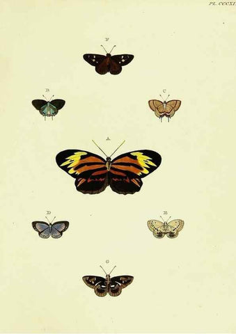 Reproducción/Reproduction 22621668611: De uitlandsche kapellen voorkomende in de drie waereld-deelen, Asia, Africa en America,. Amsteldam,Chez S. J. Baalde;1779-1782.