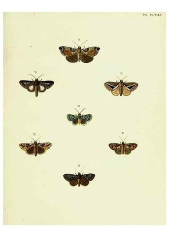 Reproducción/Reproduction 22621620151: De uitlandsche kapellen voorkomende in de drie waereld-deelen, Asia, Africa en America,. Amsteldam,Chez S. J. Baalde;1779-1782.