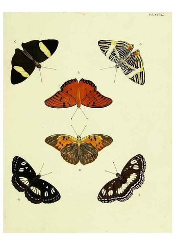 Reproducción/Reproduction 22422041550: De uitlandsche kapellen voorkomende in de drie waereld-deelen, Asia, Africa en America,. Amsteldam,Chez S. J. Baalde;1779-1782.