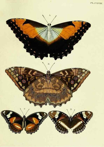 Reproducción/Reproduction 22583989356: De uitlandsche kapellen voorkomende in de drie waereld-deelen, Asia, Africa en America,. Amsteldam,Chez S. J. Baalde;1779-1782.