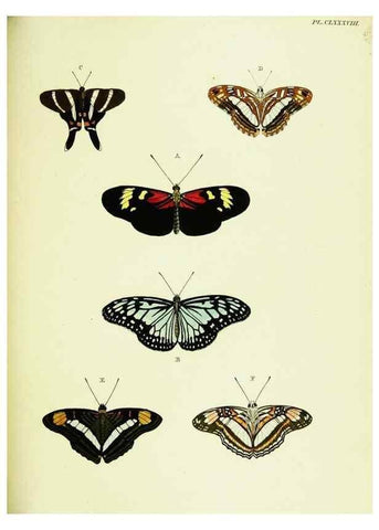 Reproducción/Reproduction 22421347090: De uitlandsche kapellen voorkomende in de drie waereld-deelen, Asia, Africa en America,. Amsteldam,Chez S. J. Baalde;1779-1782.