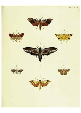 Reproducción/Reproduction 22422198740: De uitlandsche kapellen voorkomende in de drie waereld-deelen, Asia, Africa en America,. Amsteldam,Chez S. J. Baalde;1779-1782.
