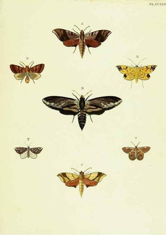 Reproducción/Reproduction 22422198740: De uitlandsche kapellen voorkomende in de drie waereld-deelen, Asia, Africa en America,. Amsteldam,Chez S. J. Baalde;1779-1782.