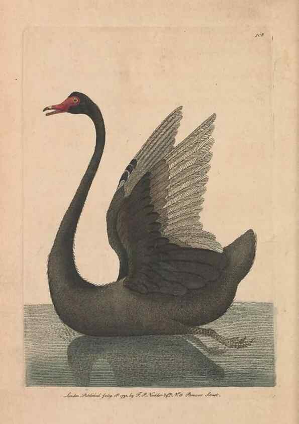 Reproducción/Reproduction 30814686466: The naturalist's miscellany, or Coloured figures of natural objects. London :Printed for Nodder & Co.,1789-1813