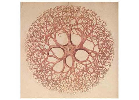 Reproducción/Reproduction 30215855363: The naturalist's miscellany, or Coloured figures of natural objects. London :Printed for Nodder & Co.,1789-1813