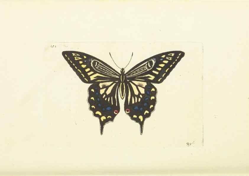 Reproducción/Reproduction 30711743432: The naturalist's miscellany, or Coloured figures of natural objects. London :Printed for Nodder & Co.,1789-1813