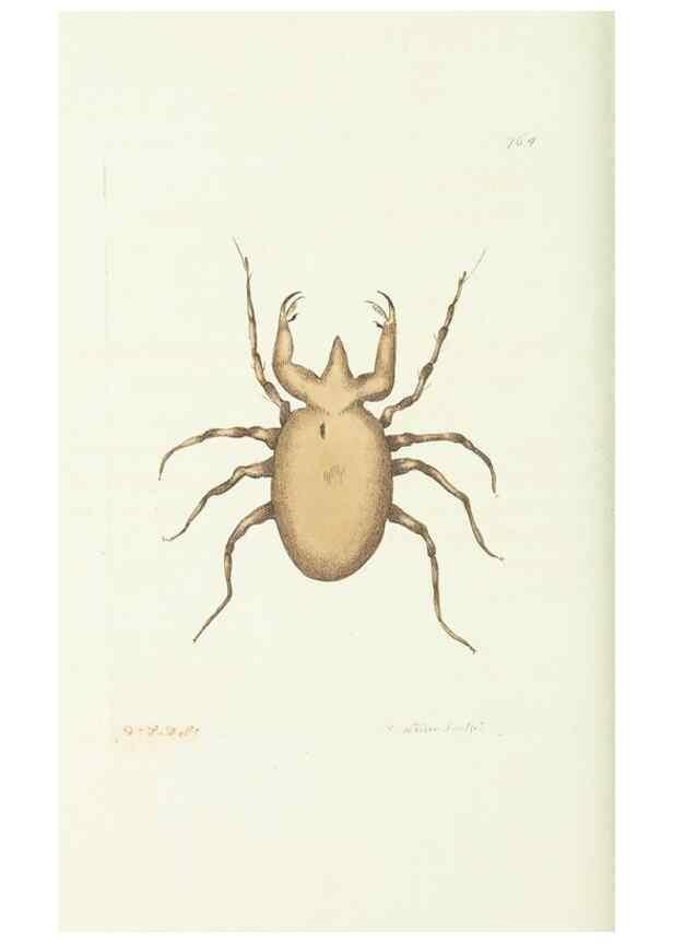 Reproducción/Reproduction 30238083264: The naturalist's miscellany, or Coloured figures of natural objects. London :Printed for Nodder & Co.,1789-1813