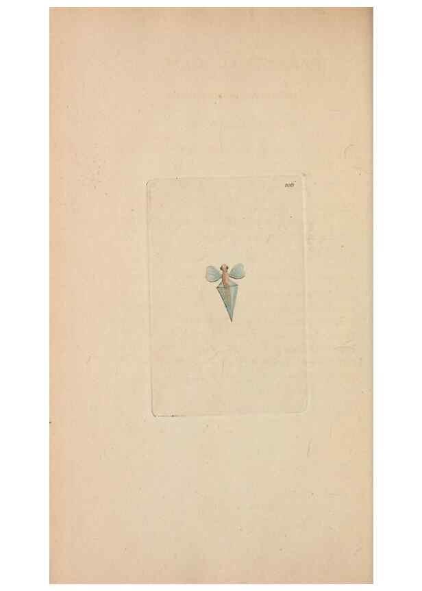 Reproducción/Reproduction 30780712281: The naturalist's miscellany, or Coloured figures of natural objects. London :Printed for Nodder & Co.,1789-1813
