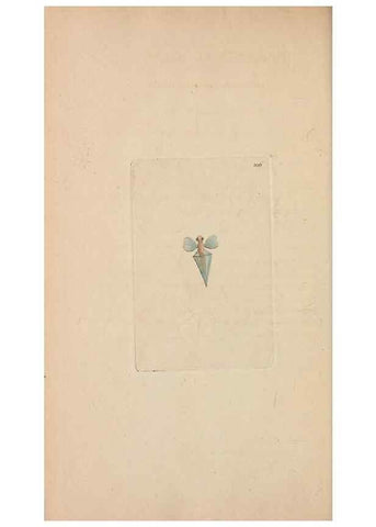Reproducción/Reproduction 30780712281: The naturalist's miscellany, or Coloured figures of natural objects. London :Printed for Nodder & Co.,1789-1813