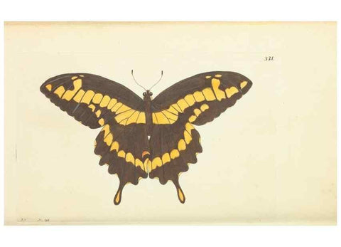 Reproducción/Reproduction 30708728266: The naturalist's miscellany, or Coloured figures of natural objects. London :Printed for Nodder & Co.,1789-1813