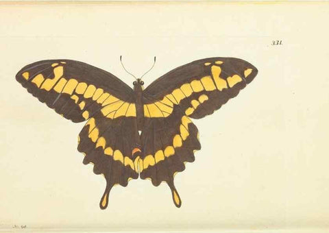 Reproducción/Reproduction 30708728266: The naturalist's miscellany, or Coloured figures of natural objects. London :Printed for Nodder & Co.,1789-1813