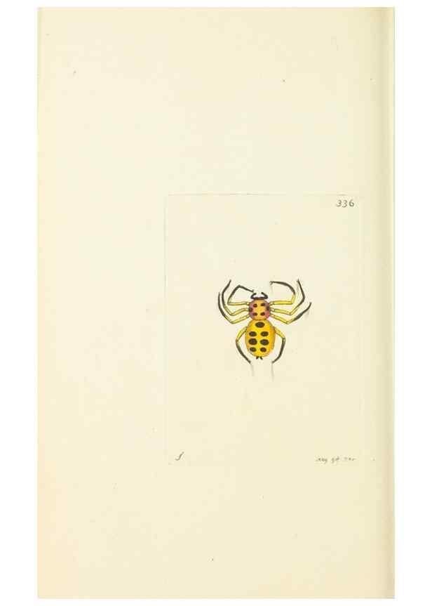Reproducción/Reproduction 30708741186: The naturalist's miscellany, or Coloured figures of natural objects. London :Printed for Nodder & Co.,1789-1813