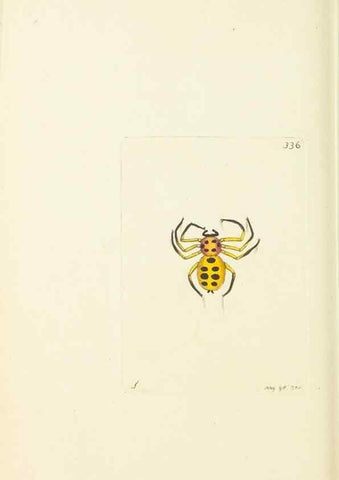 Reproducción/Reproduction 30708741186: The naturalist's miscellany, or Coloured figures of natural objects. London :Printed for Nodder & Co.,1789-1813