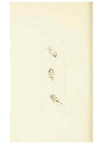 Reproducción/Reproduction 30743196915: The naturalist's miscellany, or Coloured figures of natural objects. London :Printed for Nodder & Co.,1789-1813