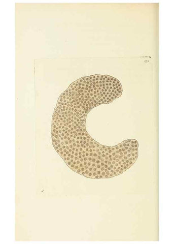 Reproducción/Reproduction 30627813032: The naturalist's miscellany, or Coloured figures of natural objects. London :Printed for Nodder & Co.,1789-1813