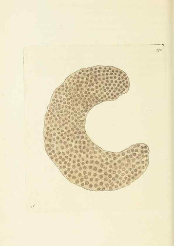 Reproducción/Reproduction 30627813032: The naturalist's miscellany, or Coloured figures of natural objects. London :Printed for Nodder & Co.,1789-1813