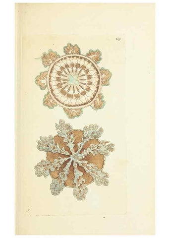 Reproducción/Reproduction 30656302441: The naturalist's miscellany, or Coloured figures of natural objects. London :Printed for Nodder & Co.,1789-1813