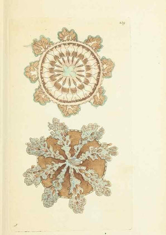 Reproducción/Reproduction 30656302441: The naturalist's miscellany, or Coloured figures of natural objects. London :Printed for Nodder & Co.,1789-1813
