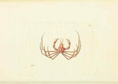Reproducción/Reproduction 30827862935: The naturalist's miscellany, or Coloured figures of natural objects. London :Printed for Nodder & Co.,1789-1813