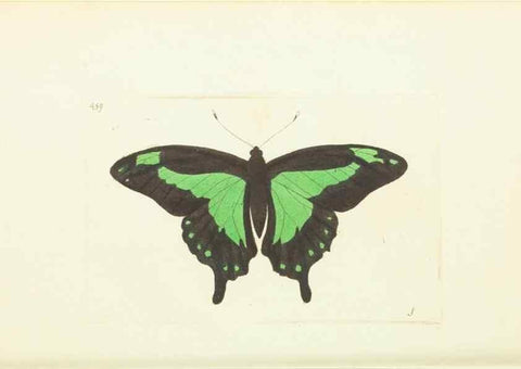 Reproducción/Reproduction 30527650960: The naturalist's miscellany, or Coloured figures of natural objects. London :Printed for Nodder & Co.,1789-1813