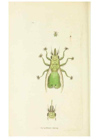 Reproducción/Reproduction 30128872263: The naturalist's miscellany, or Coloured figures of natural objects. London :Printed for Nodder & Co.,1789-1813