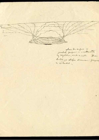 Reproducción/Reproduction 31054130922: Cenotes at Chichen Itza, Mexico, 1895. 1895