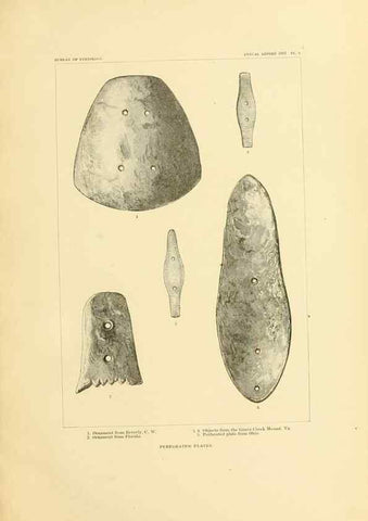 Reproducción/Reproduction 31086704551: Art in shell of the ancient Americans.. Washington,Govt. Print. Off.,1883.